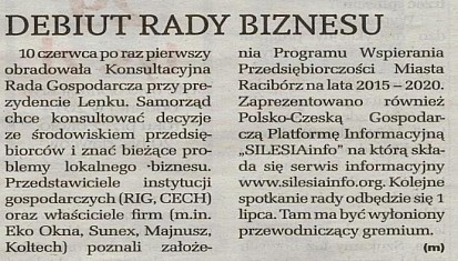 Konsultacyjna Rada Gospodarcza z udziałem RIG